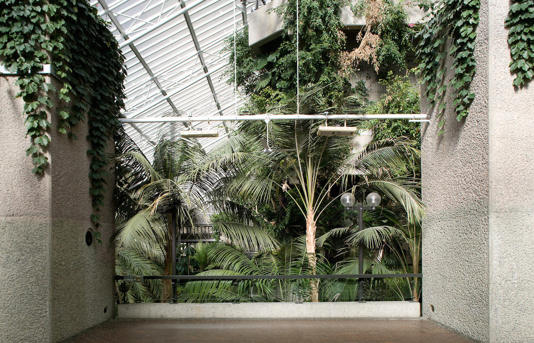 THE BARBICAN CONSERVATORY