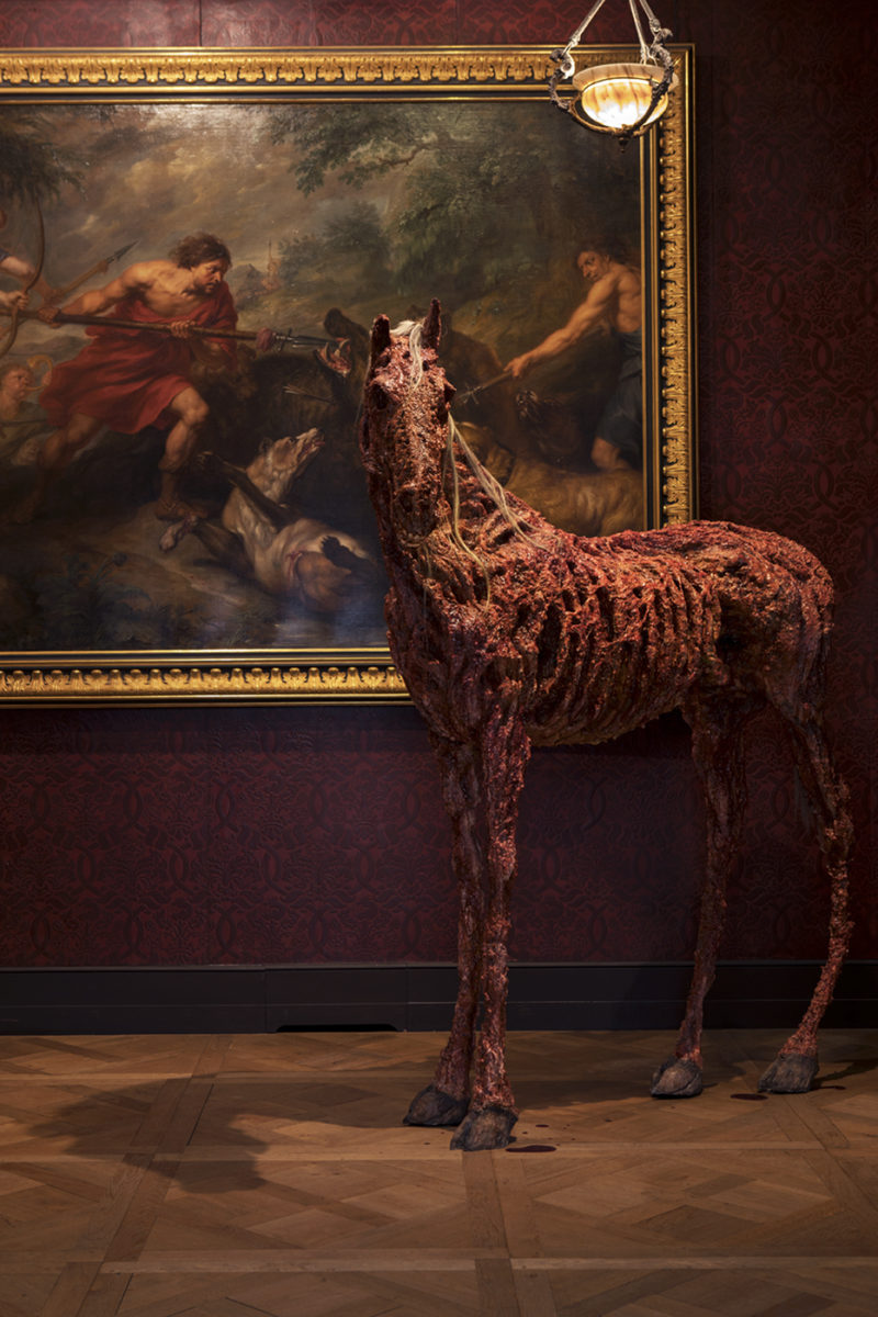 horse skeleton, artistic installation