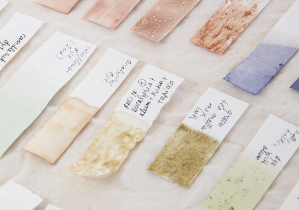 GRETA FACCHINATO’s sustainable inks and dyes